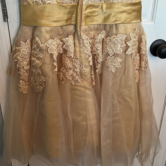 Lace dress - Picture 7 of 15